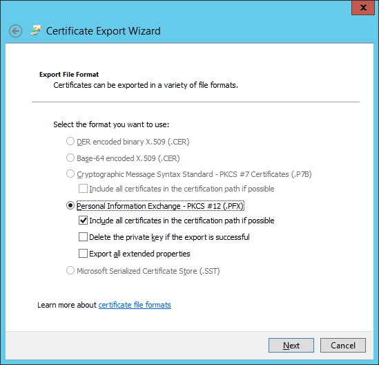 Export Pfx Wizard 3